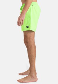 Bo shorts de baño verdes neón con una cinturilla elástica y cordón. Presenta un pequeño parche de logotipo negro en el lado izquierdo. Tejido ligero.