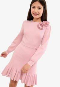 Rochie roz cu nervuri și mâneci lungi, având un accent floral pe umăr și o margine ondulată. Textură netedă și talie ajustată.