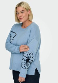 Maglione azzurro chiaro lavorato a maglia con scollo rotondo e polsini a coste, caratterizzato da un ricamo floreale nero su entrambe le maniche.