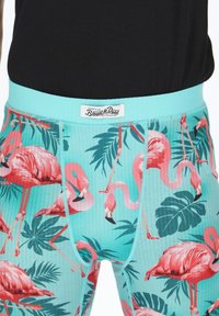 Blue and pink flamingo-patterned boxer briefs with a turquoise waistband. Features a ribbed texture and a logo tag at the waist.