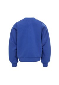 Blauwe trui met lange mouwen, ronde hals, geribbelde boorden en zoom. Gladde textuur en effen kleur, zonder patronen of extra details.