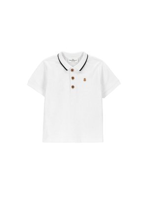Coccodrillo, - Koszulka polo