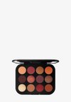 CONNECT-IN-COLOUR EYESHADOW PALETTE - Oogschaduwpalet - future flame