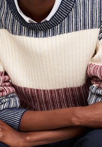 Tommy Hilfiger Jumper - dark blue