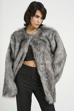 WILIA COAT - Cappotto invernale - grey woolf