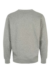 Schlichtes hellgraues Sweatshirt mit langen Ärmeln, gerippten Bündchen, Saum und Rundhalsausschnitt, von hinten vor weißem Hintergrund gezeigt.