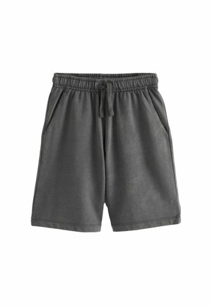 RELAXED WASHED  REGULAR FIT - Dresside alumine osa - grey