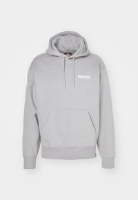 Grå hoodie i mjukt material, med en framficka, justerbar dragsko i huvan och vit logotyp på bröstet. Ribbstickade ärmslut och fåll.