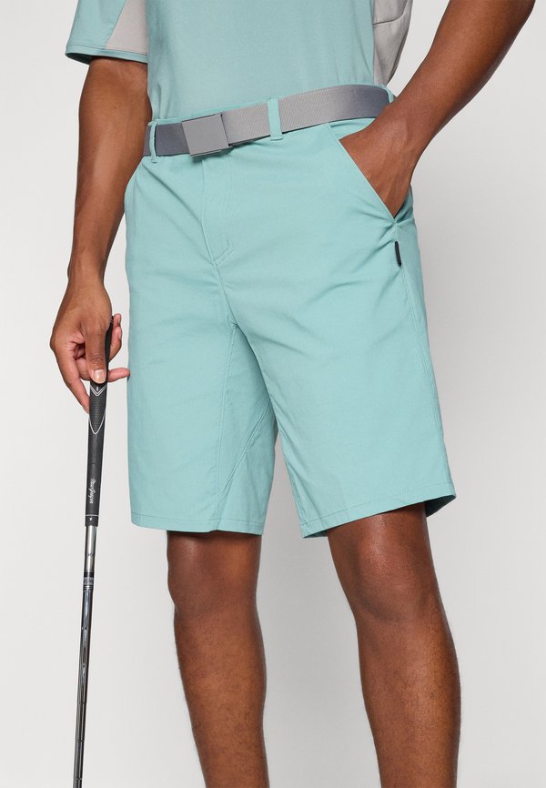 TERRAIN SHORT - Sports shorts - pacific2