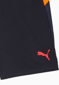 Puma INDIVIDUALCUP TRAINING - Shorts - new navy glowing red heat fire