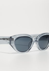 Gray transparent sunglasses with oversized, rounded lenses and a sleek design. Features dark lenses and subtle hardware accents on the arms.
