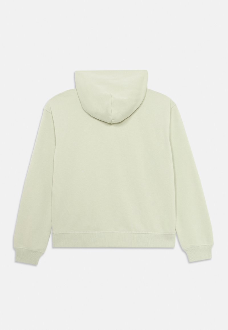 Sweat à capuche vert clair avec une texture douce, doté d'une capuche à cordon, de poignets côtes et d'un ourlet droit. Le dos est uni sans motifs.