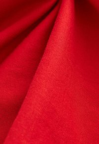 Next LONG SLEEVE STANDARD - Langærmet T-shirt - mottled red