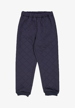 THERMO ALEX - Spodnie treningowe - ink
