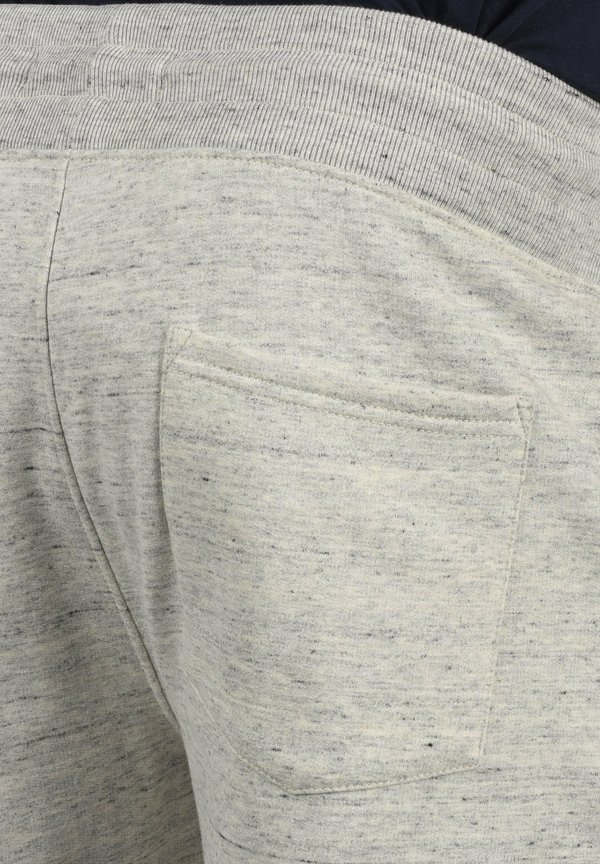 BHHENNY REGULAR FIT - Tracksuit bottoms - stone mix4