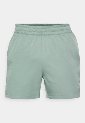 Shorts de sport vert menthe avec une taille élastique, texture lisse et minimalisme. Présente un petit logo en bas à droite.
