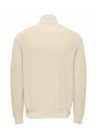 Pull à col roulé beige en maille avec manches longues et poignets et ourlet côtelés, vu de dos sur fond blanc.