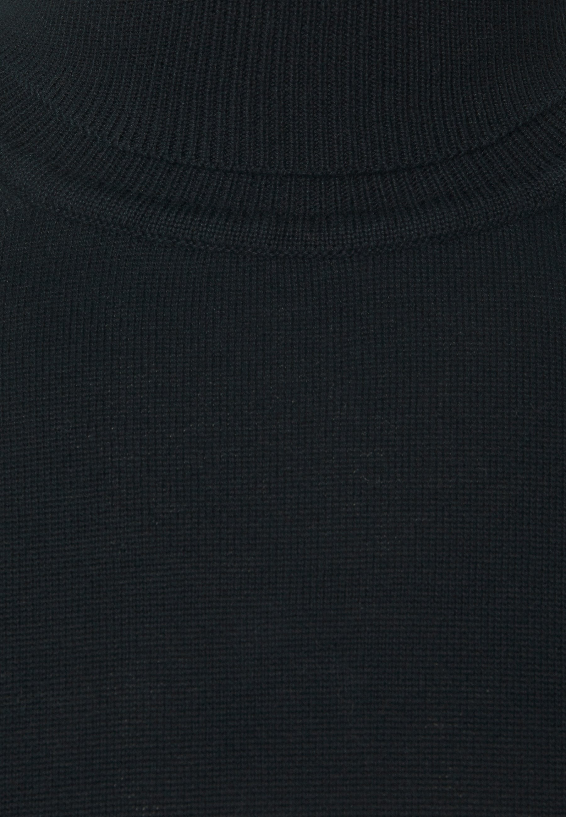 Homme SIGNATURE ROLL NECK - Pullover Homme SIGNATURE ROLL NECK - Pullover