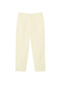 Pantaloni beige su misura con una texture liscia, design a gamba dritta, chiusura frontale con zip e senza tasche visibili. Ideali per uno stile versatile.