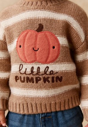 Next, REGULAR FIT - HALLOWEEN KNITTED CREW NECK JUMPER - Svetrík - neutral pumpkin