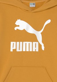 Felpa arancione con tasca a marsupio. Presenta un grande logo Puma bianco e testo sul davanti. Realizzata in morbido cotone.