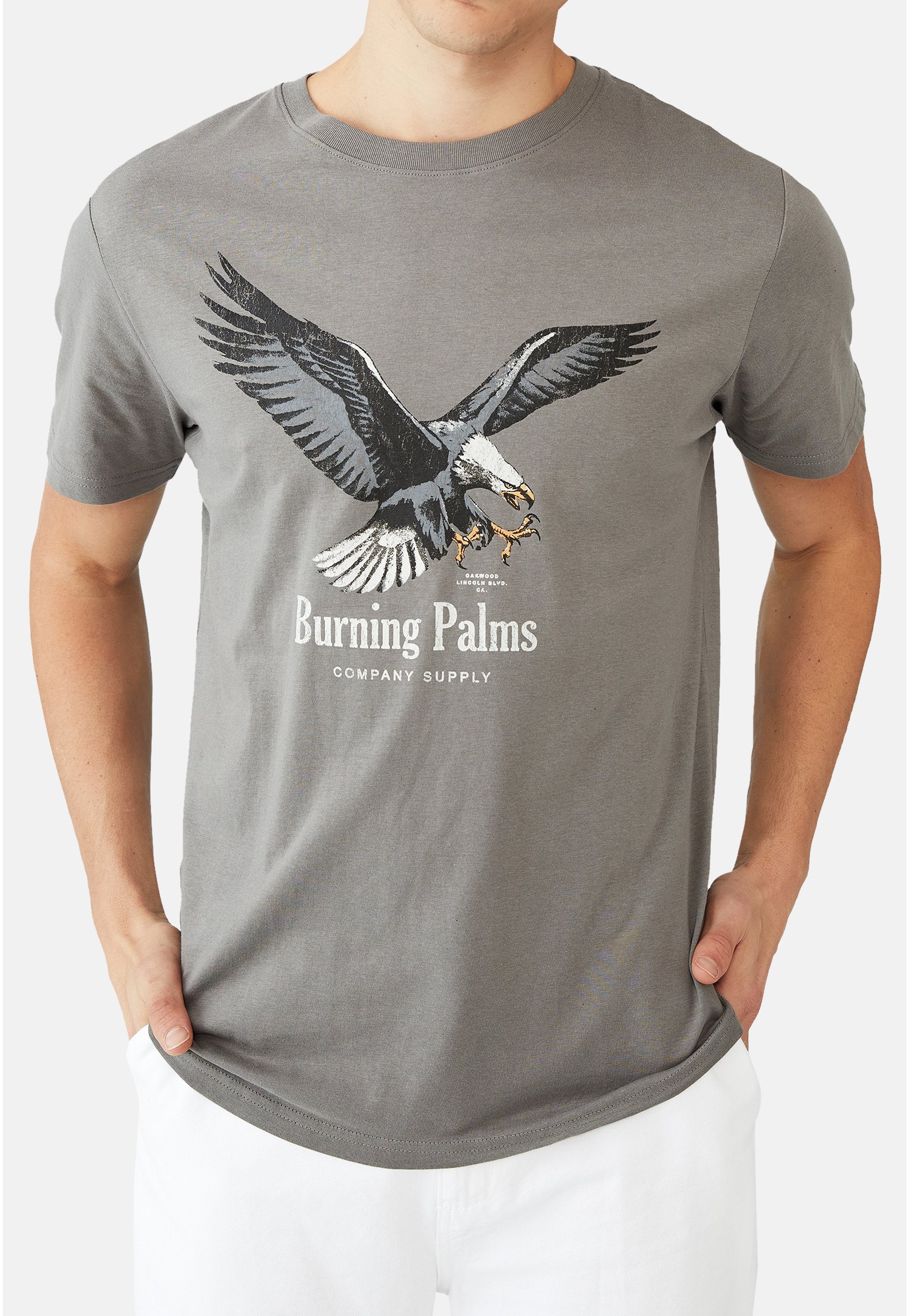 Cotton On T-shirts \u0026 polo's voor heren online kopen | Gratis verzending* |  Zalando