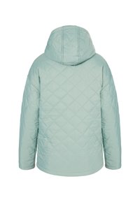 Ljusgrön quiltad jacka med huva, som har diagonala sömmar och en slät, glänsande yta. Baksidan visar långa ärmar och en avslappnad passform.