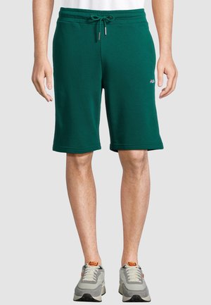 APPAREL BLEHEN  - Pantaloncini sportivi - aventurine