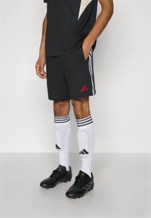 LIVERPOOL FC SHORTS - Klub merchandise - black