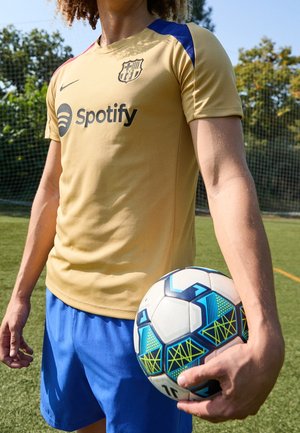 Personne en tenue de football jaune et bleue tenant un ballon de football bleu et blanc à motif sur un terrain en herbe.
