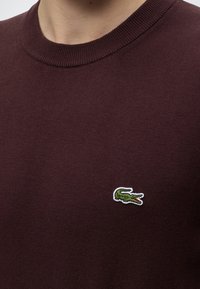 Gros plan sur une personne portant un pull col rond bordeaux avec un petit logo crocodile vert brodé sur la poitrine.