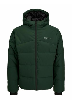 JJFLOW - Winter jacket - dunkelgrün