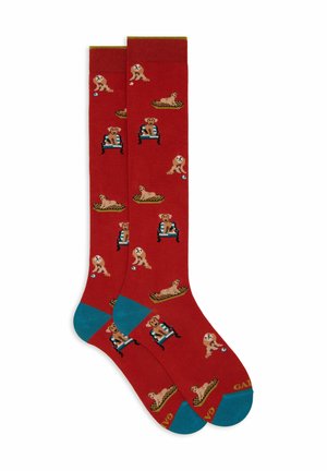 LUNGHE FANTASIA CANI - Calzettoni - orange