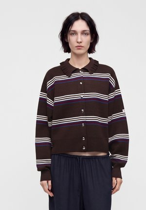 Personne aux cheveux courts et foncés portant un pull marron boutonné avec des rayures horizontales blanches et bleues et un pantalon foncé, debout devant un fond uni.