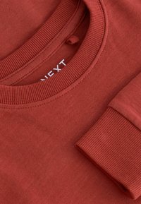 Next LONG SLEEVE COSY  - Langærmet T-shirt - rust brown