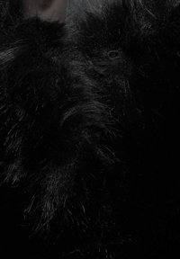 Mango Vinterjacka - black
