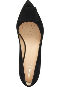 Scarpa nera in suede con punta affusolata e un fiocco piatto decorativo, soletta in pelle beige con puntini e marchio "GEOX Respira".