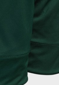 Pantalones cortos deportivos verdes hechos de una tela transpirable, con una superficie texturizada y una cinturilla lisa en contraste. Detalles de costura visibles.