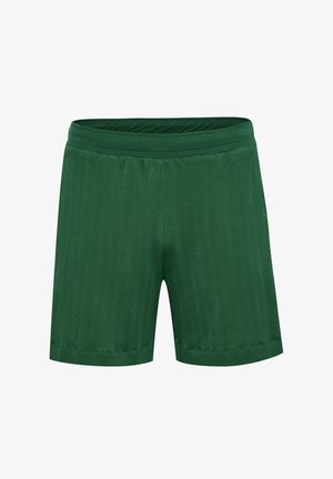 Grüne Sportshorts aus einem weichen Stoff mit einem elastischen Bund, im geraden Schnitt und ohne sichtbare Taschen oder Verzierungen.