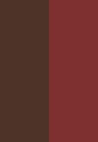 Deux rectangles verticaux côte à côte, celui de gauche en brun foncé et celui de droite en rouge profond, formant une composition simple de blocs de couleur.