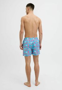 Costumi da bagno colorati con una base azzurro chiaro, caratterizzati da un motivo di fenicotteri rosa, fette di anguria e elementi tropicali. Vita elastica.