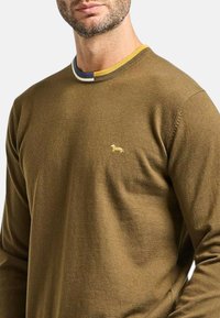 Maglione marrone lavorato a maglia con scollo tondo, caratterizzato da un bordo a righe gialle, blu e bianche. Include un piccolo logo dorato sul petto.