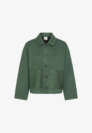 Giacca trapuntata verde con colletto, chiusura a bottoni frontale e due tasche anteriori. Presenta un tessuto testurizzato ed è progettata in una forma quadrata.