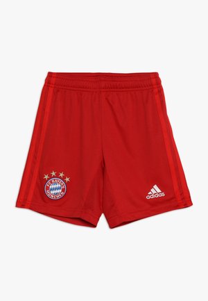 FC BAYERN MÜNCHEN H SHO Y - Short de sport - true red