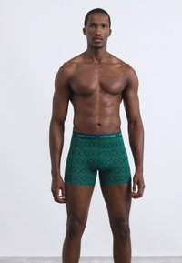 Boxer in tessuto verde a fantasia con cintura blu, riportante il logo "BJÖRN BORG". Il tessuto appare liscio e presenta un design geometrico su tutta la superficie.