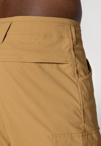 The North Face EXPLORATION PANTS - Cargobukser - utility brown