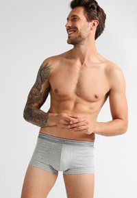 Grå bomullsboxere med en merket elastisk midjebånd som har "TOMMY HILFIGER" i hvitt og rødt. Modellen står i en naturlig posisjon.