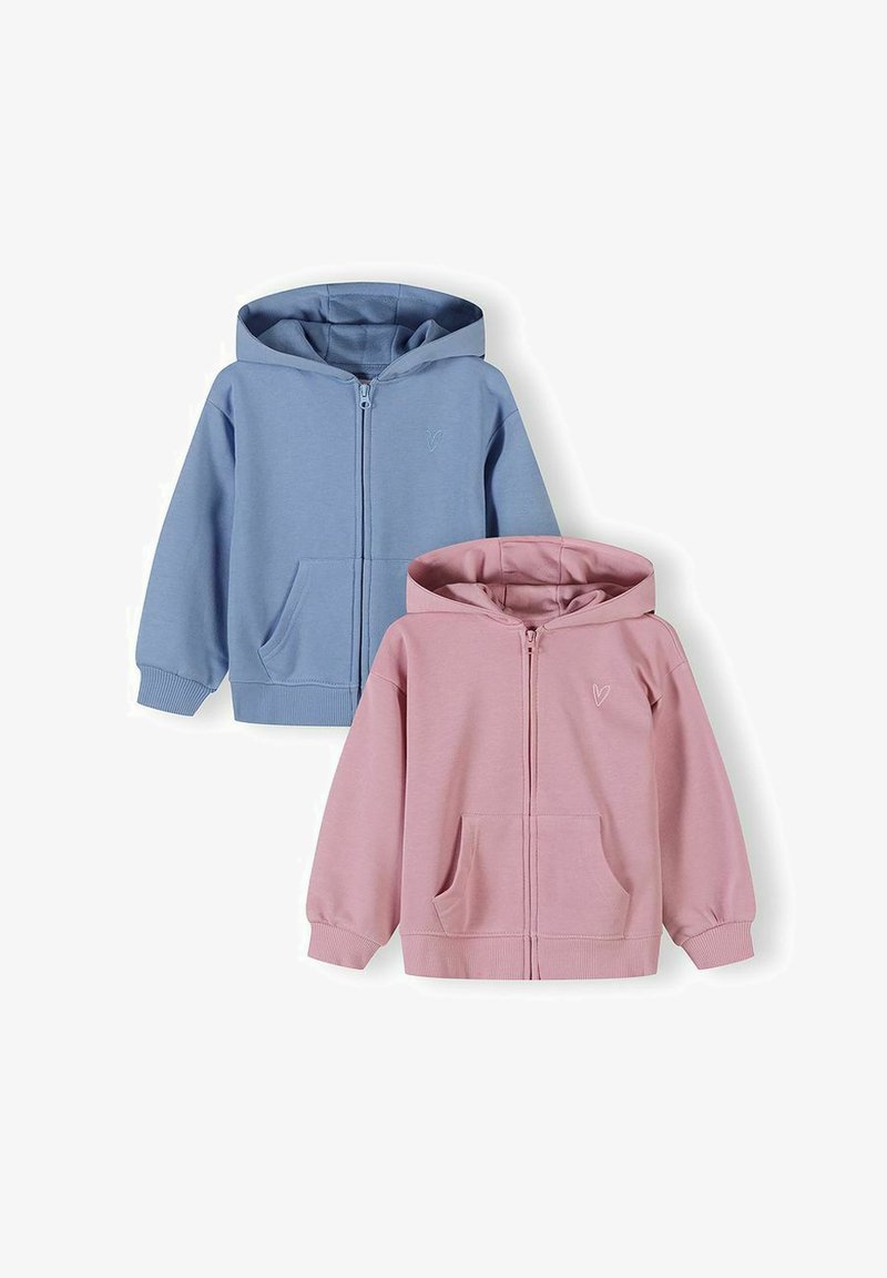 Kaks laste lukuga pusa, üks hele sinine ja üks roosa, mõlemal esitaskud ja väike südameembleem rinnal.