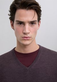 Donkerbruine v-hals trui over een kastanjebruin shirt met ronde hals, gemaakt van zachte stof, met een subtiel logodetail op de borst.