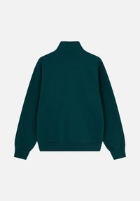 Groen sweatshirt met lange mouwen en een hoge kraag. Zachte stof, geribde manchetten en onderrand, met een eenvoudig ontwerp zonder zichtbare patronen of logo's.